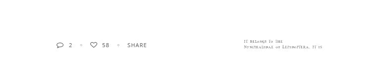 Minimalist Geometric Rose Gold Colour Rings For Woman Korean Fashion Jewelry New Goth Accessories Student Girl's Simple Ring Set - Artigo Importado